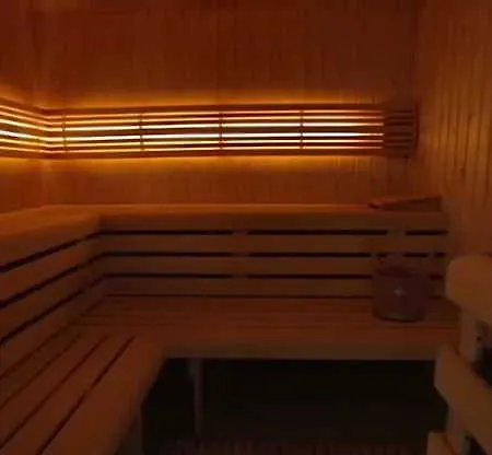 Park Plaza Amsterdam Airport 4* Lijnden