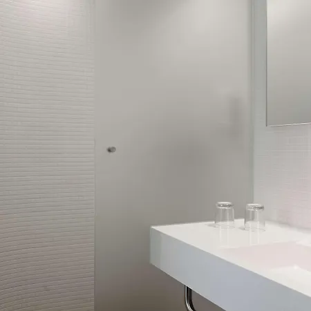 Park Plaza Amsterdam Airport מלון