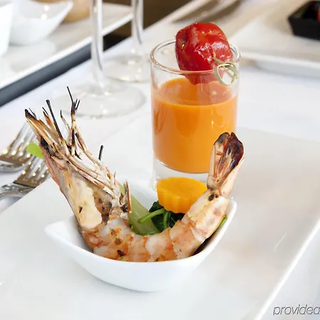 Szálloda Park Plaza Amsterdam Airport Lijnden